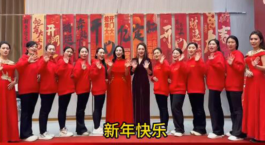 蛇年好運(yùn)至，幸福滿人間！飛斯達(dá)祝您百事從歡，一路向陽！