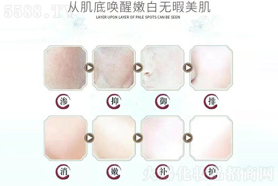 專注問(wèn)題肌膚修護(hù) 專注問(wèn)題肌膚修護(hù)